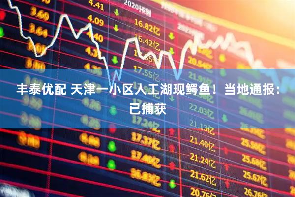 丰泰优配 天津一小区人工湖现鳄鱼！当地通报：已捕获